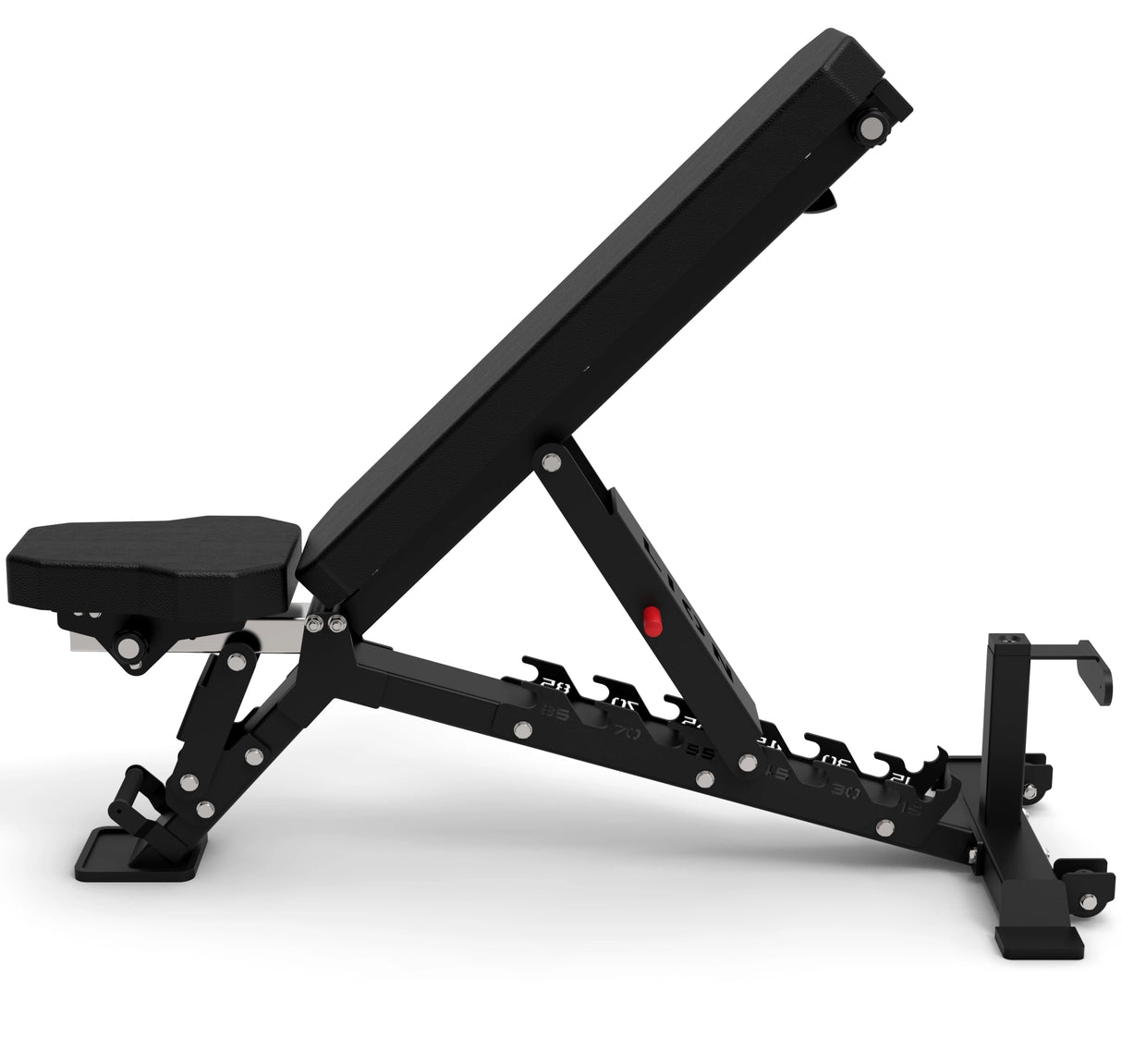 LION® ValorChampion™ Fitnessbank