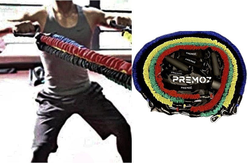 Premoz® FlexPro Resistance Band Set – 11-piece premium fitness set - LIONINSIDE