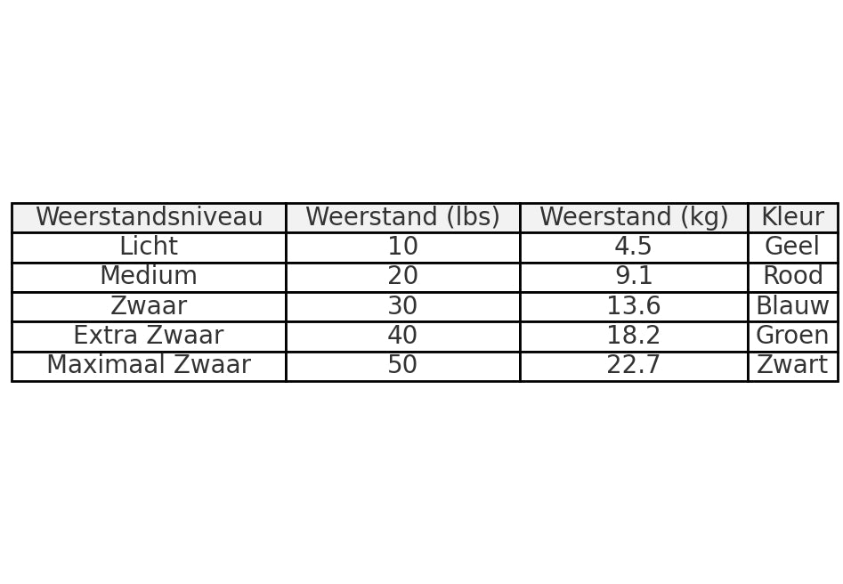 Premoz® FlexPro Resistance Band Set – 11-piece premium fitness set - LIONINSIDE