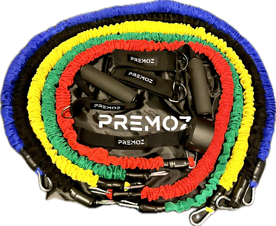 Premoz® FlexPro Resistance Band Set – 11-delige premium fitnessset - LIONINSIDE