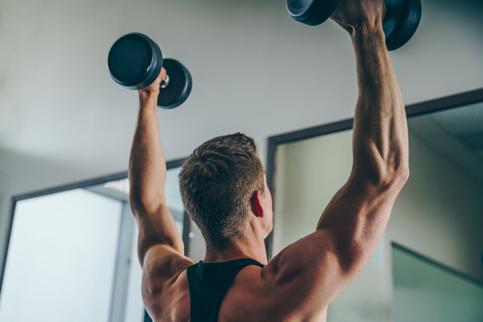 Unleash Your Inner Lion: A Fitness Journey Begins at LionInside.nl!