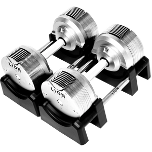 TitanSilver 32,5 kilogram