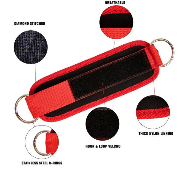 Sangle de cheville - Regular - LIONINSIDE