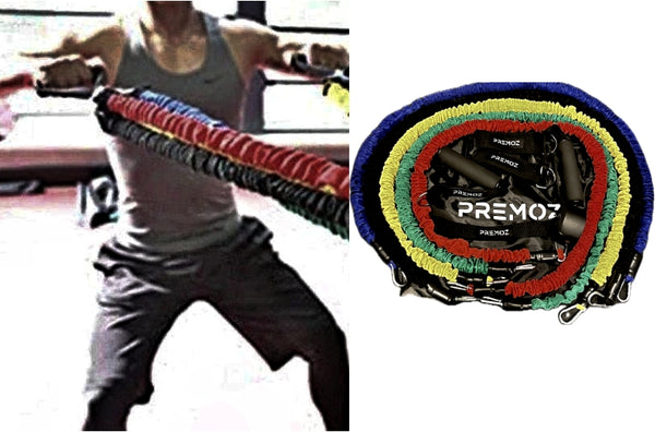Premoz®  FlexPro Resistance Band Set – 11-delige premium fitnessset - LIONINSIDE