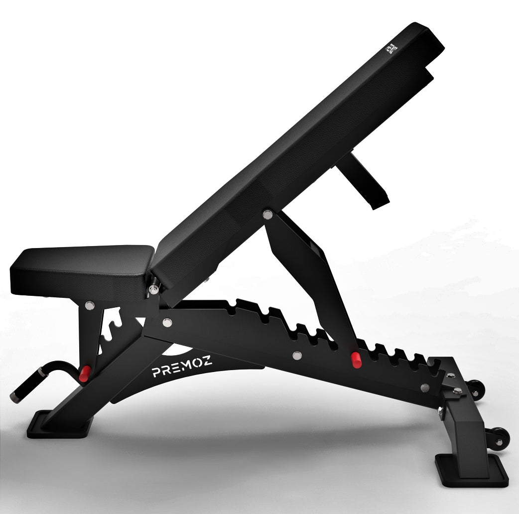 PREMOZ ValorForge™ Fitnessbank - LIONINSIDE