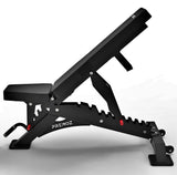 PREMOZ ValorForge™ Fitnessbank - LIONINSIDE