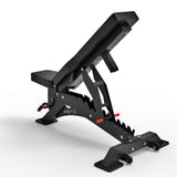 PREMOZ ValorForge™ Fitnessbank - LIONINSIDE