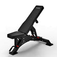 PREMOZ ValorForge™ Fitnessbank - LIONINSIDE