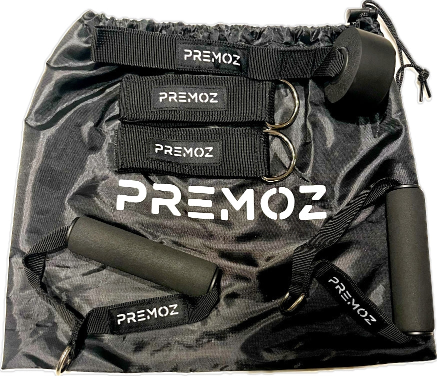 Premoz®  FlexPro Resistance Band Set – 11-delige premium fitnessset - LIONINSIDE