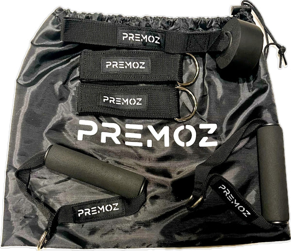 Premoz®  FlexPro Resistance Band Set – 11-delige premium fitnessset - LIONINSIDE